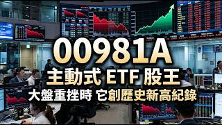 00981A 大盤回檔中的抗跌之王