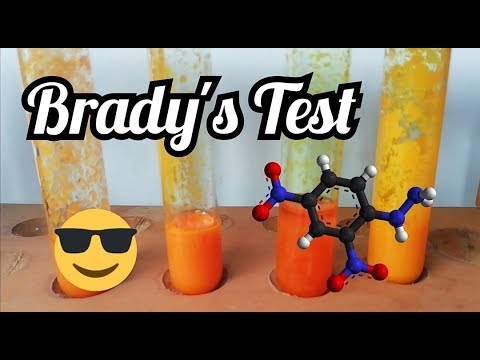 Brady's Test