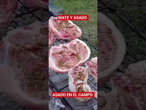 MATE Y ASADO EN EL CAMPO,  Urdinarrain, ENTRE RÍOS