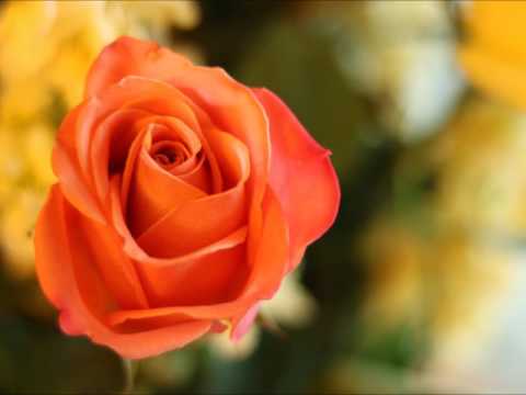 Thà xa nhau - Quang Tuấn