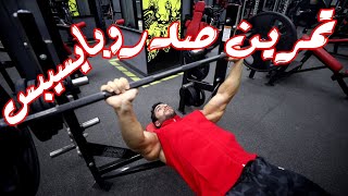 كورس تمارين صدر وباي 2026