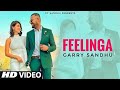 Kida Lakoke Rakhaa Feelinga Main Saaliyan Garry Sandhu New Song Song 2021 Fresh Media Records