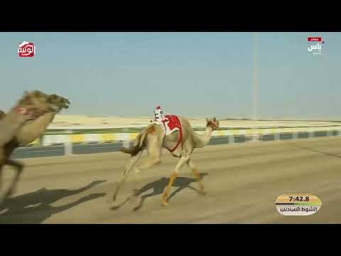 ش 6 (سايد) لـ محمد فاهم بن سلطان الكتبي 12:56:99 ، مهرجان ختامي الشحانية 2026/04/27 زمول