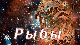 Какие наживки бывают для рыбы знак зодиака