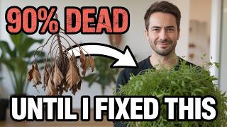 This Winter Mistake Killed 90% of My Houseplants Until I Fixed It