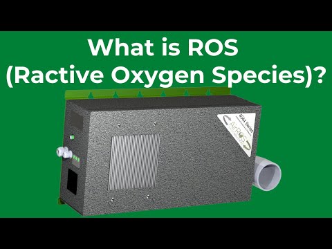 What is Reactive Oxygen Species?