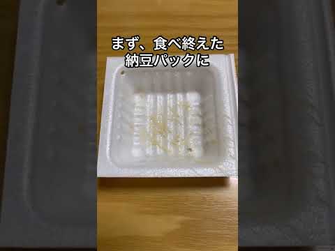 庭のコーヒーかすを使用する 7 つの方法: ヒントとコツ!  庭園