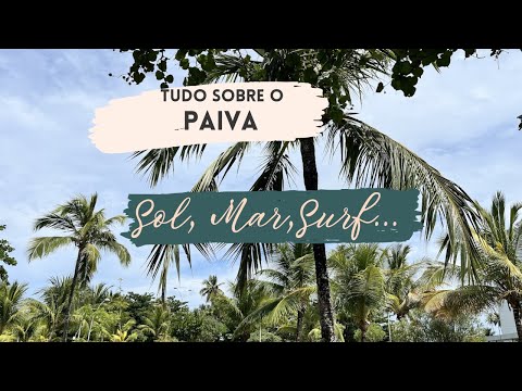 Praia do Paiva: Um Paraíso Secreto em Pernambuco (Piscinas Naturais e Surf!) 🌴🌊