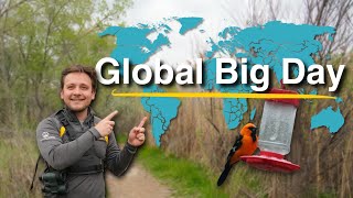 What Is Birding's Global Big Day?