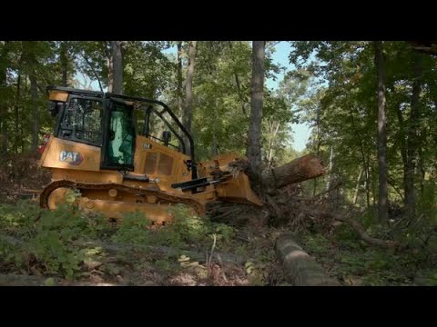 Cat D4 Dozer für die Waldpflege