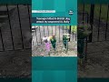 Teenager Killed In Bristol Dog Attack By Suspected XL Bully Itvnews