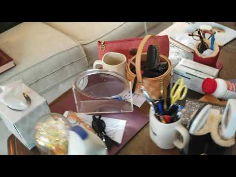 Old Candy Wrapper Attracts Pavement Ants in Hightstown, NJ