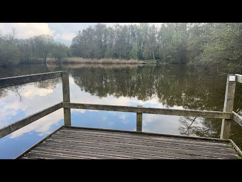 Ash nature reserve Hampshire GU125AA