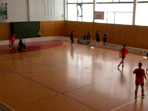 Unihockey bandenflug