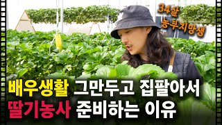 10년 배우생활 포기하고, 딸기농사에 인생을 건 34살 청년 농부지망생 '유준현'씨 [청년 귀농프로젝트 ep…