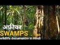 The Eternal Swamps हिंदी डॉक्यूमेंट्री Africa Wildlife Documentr