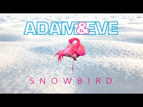 download lagu mp3 mp4 Adam And Eve Eine Htte Auf Hawaii, download mp3 Adam And Eve Eine Htte Auf Hawaii free downloadn, video klip Adam And Eve Eine Htte Auf Hawaii