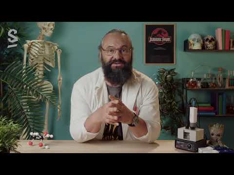 Le métabolisme des cellules - SVT - 2de - SchoolMouv