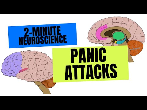 2-Minute Neuroscience: Panic Attacks
