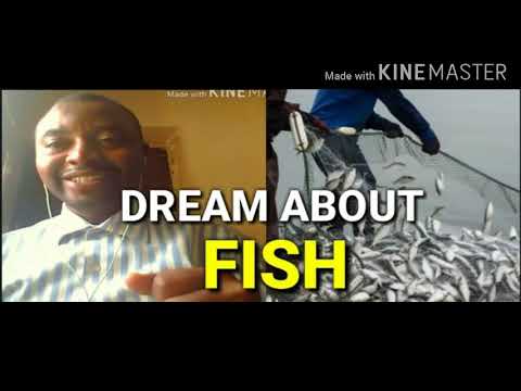 Dream About Fish