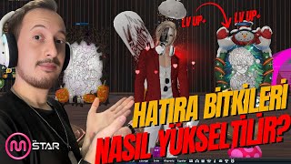 Mstar Anı/Hatıra Bitkileri Nasıl Yükseltilir? #Mstar_GoldenMoments #Mstar_Flex #