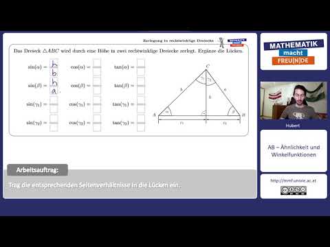 Zerlegung in rechtwinklige Dreiecke