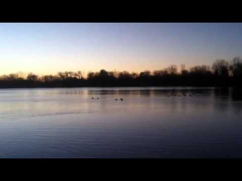 Hastings Ymca Lindenhurst Il
