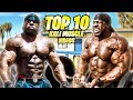 My Top 10 Kali Muscle YouTube Videos