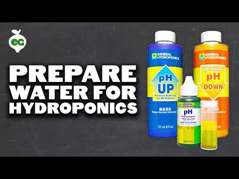 How to Prepare Water for Hydroponics
