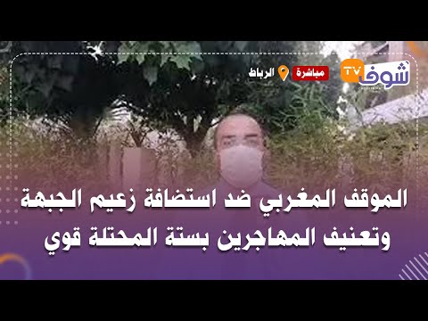 أستاذ القانون الدولي يعلنها: الموقف المغربي ضد استضافة زعيم الجبهة وتعنيف المهاجرين بستة المحتلة قوي