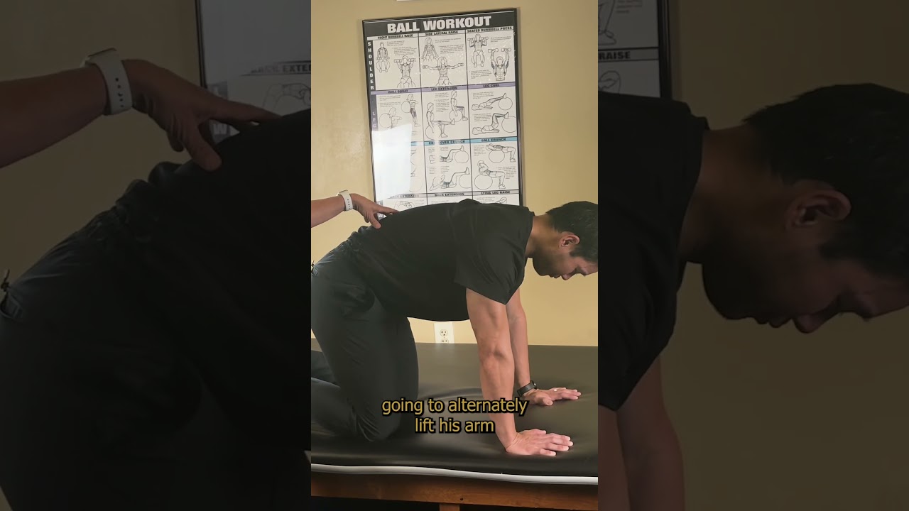 Bird Dog Exercise 🏋️‍♀️