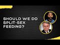 Should We Do Split Sex Feeding Wayne Cast