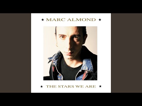 The Stars We Are