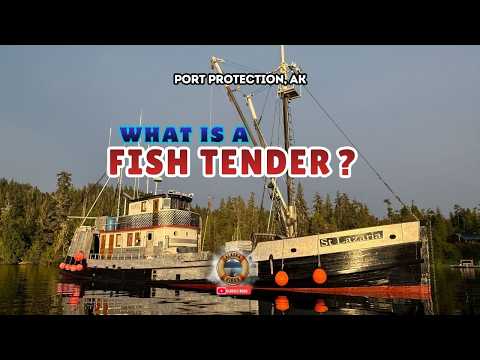 Port Protection: What is a Fish Tender?  #alaska #fishing #fish