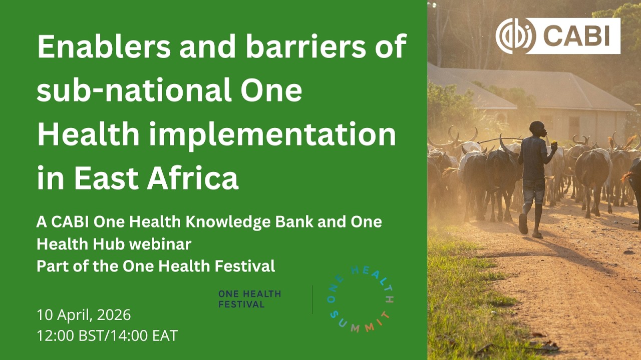 CABI One Health Knowledge Bank: Enablers and barriers of sub-national One Health implementation