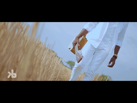 "I Have Chosen"  -   Destiny (Official Video)