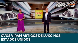 Ovos somem das prateleiras dos EUA e preços vão às alturas | DOMINGO ESPETACULAR