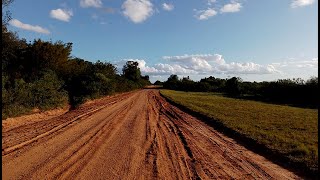 ANIMAL ESTRANHO VISTO PERTO DA SCREW