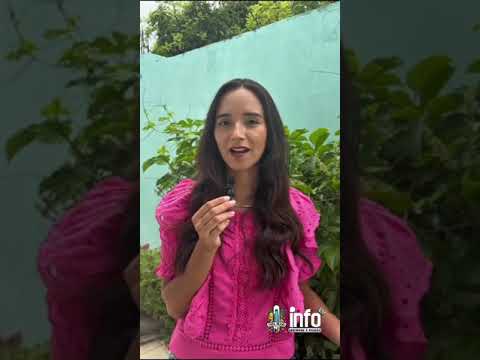 Fala, Nutri #2