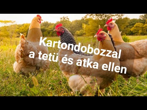 , title : 'Madártetü és atka ellen kartondobozzal'