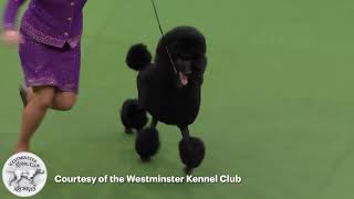 Vice Chairman of the museum board: David Merriam Interview video