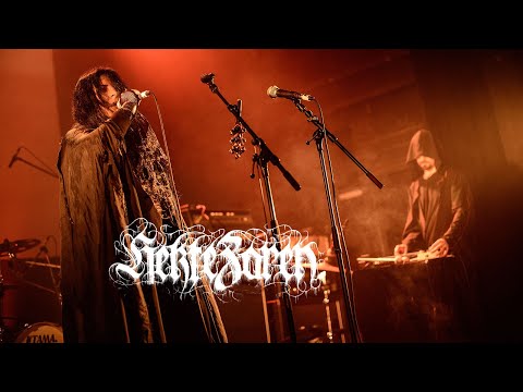 Hekte Zaren (live in Brussels - 6/03/2019)