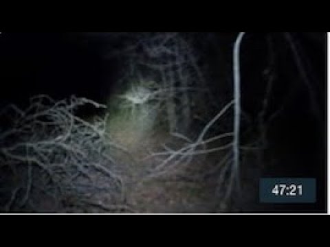 Petzl Swift RL Headlamp Field Review