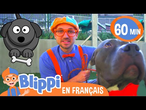 Blippi Visite Un Refuge d’Animaux | Blippi en français | Vidéos éducatives pour enfants