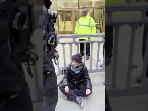 Greta Thunberg arrest moment by Metropolitan Police
