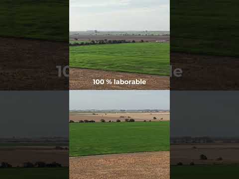Campo agrícola en venta en Córdoba, de 148 hectáreas