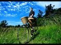 The Penelopes - Now Now Now (Miguel Campbell ...
