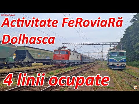 [4K] Activitate FeRoviaRa la Dolhasca [iulie, 2025]