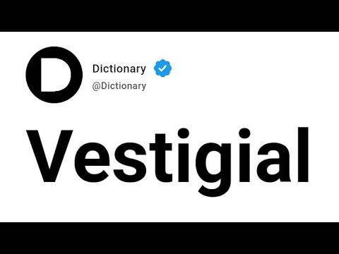Vestigial Meaning In English