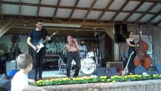 J.D. Wilkes and The Dirt Daubers - Drive (Live at The Inaugural Moonshiner's Ball)